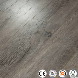 Germany Technology Laminated flooring