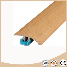 PVC Reducer Molding